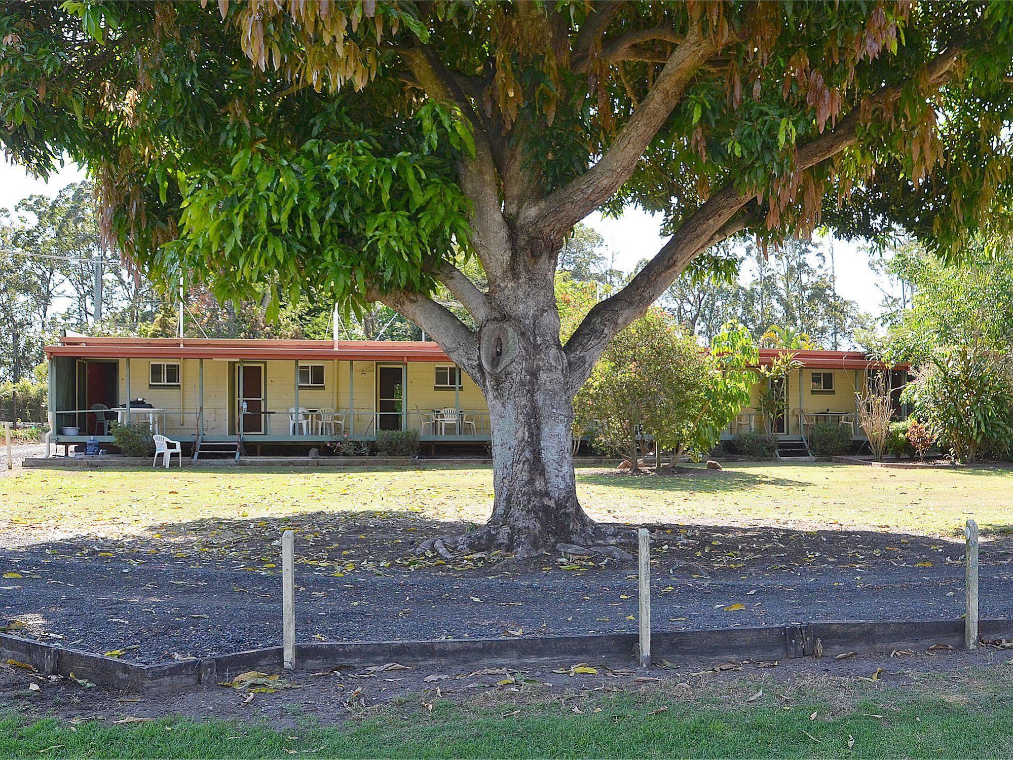 Beerwah Glasshouse Motel Exterior foto